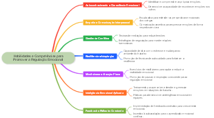Habilidades e Competências para Promover a Regulação Emocional