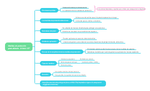 Medidas de protección generalidades Artículo 137