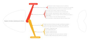 Reazioni chimiche e trasformazioni fisiche: Guida sistematica alle trasformazioni della materia