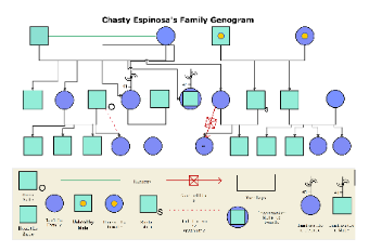 Espinosa Family's Genogram