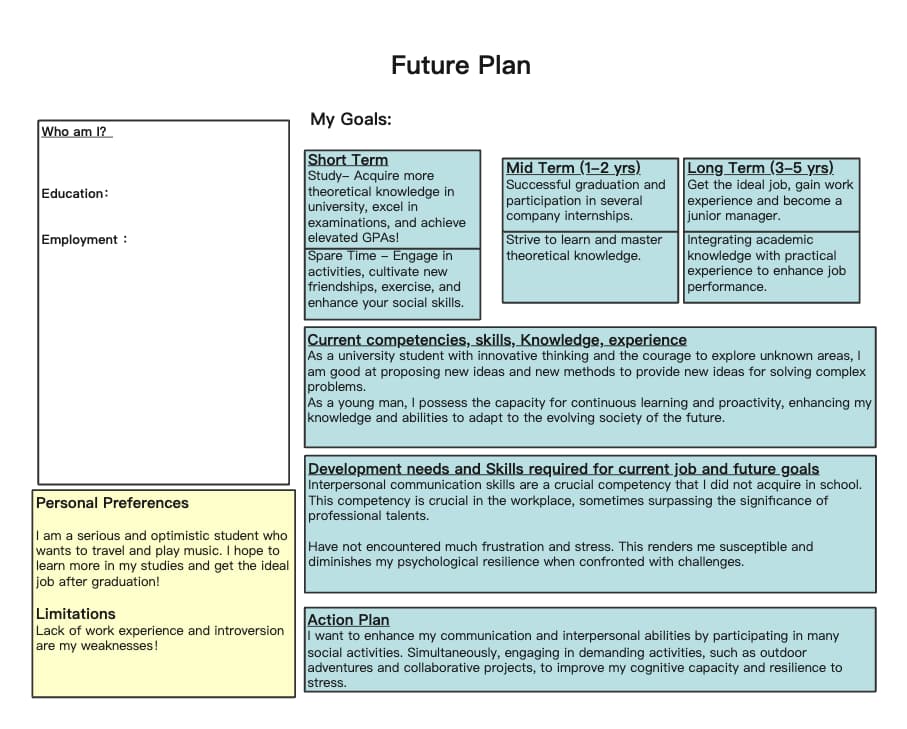 Future Career and Personal Development Plan