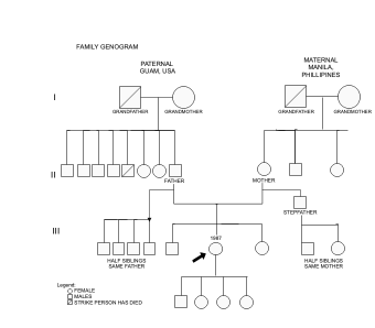 Family Genogram Template for Visualizing Relationships