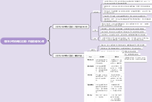 《牧羊少年的奇幻之旅》内容总结与心得