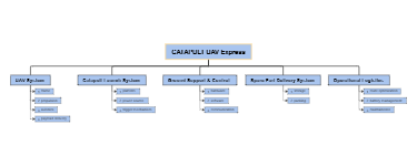 CATAPULT UAV Express