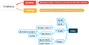 Human Anatomy and Histology