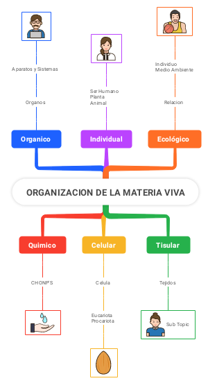 ORGANIZACION DE LA MATERIA VIVA
