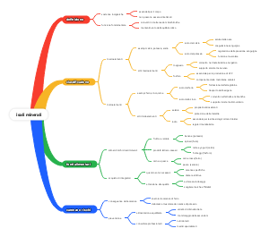 I Sali Minerali: Definizione, Classificazione, Fonti Alimentari e Carenze