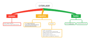Cytoplasm: Occurrence, Composition, and Function