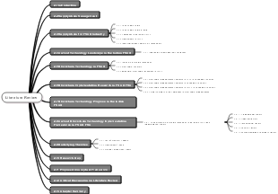 Literature Review