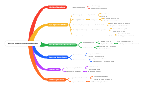 structure and function of invertebrates (1)