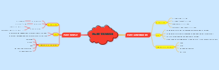 PAST TENSES 