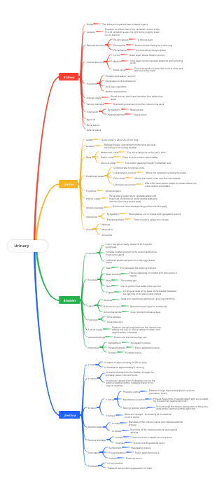 Urinary system