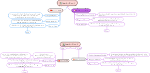 Service Flow Management