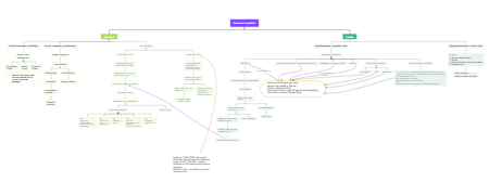 Immune system concept map_Gleiter, Christian 