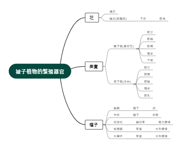 被子植物的繁殖器官