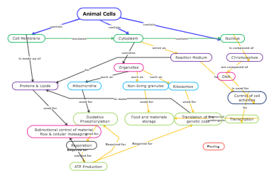 Animal Cells