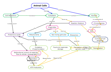 Animal Cells