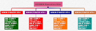 SCREEN Operation Kite