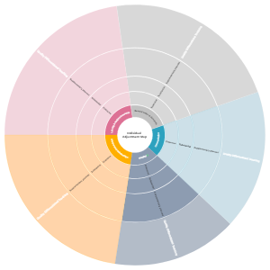 个人调整策略图 (Individual Adjustment Strategy Map)