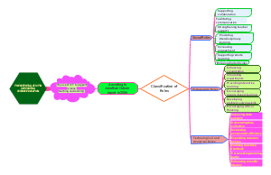 The Potential of ICT in Supporting Science Education