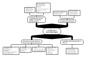 LA CÉLULA Y SUS FUNCIONES
