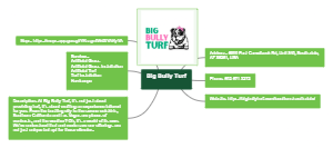 Big Bully Turf