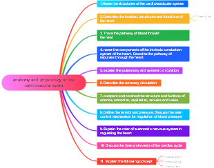 Anatomy and Physiology of the Cardiovascular System