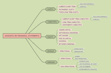 ACCOUNTS ON FINANCIAL STATEMENTS