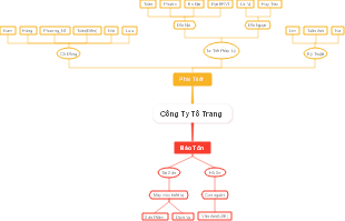 Công Ty Tô Trang - Cơ Cấu Tổ Chức