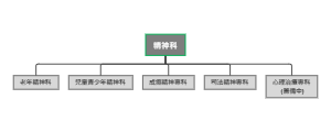 精神科次專科完整體系架構思維導圖