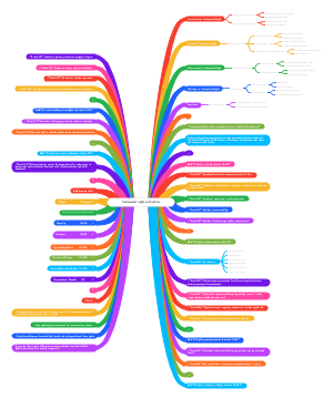 fundamental rights with article 
