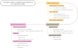 The Global Initiatives of Optimizing the Quality of Care and Patient Safety