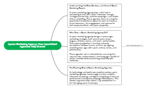 Sports Marketing Agency: How Specialized Agencies Help Brands