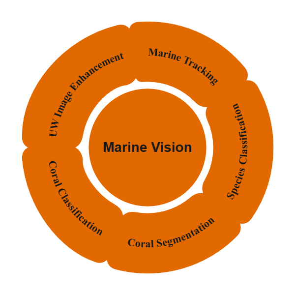 Marine Vision Applications