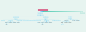 Sunshine Investment Group Organizational Structure