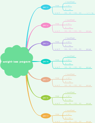 weight loss program