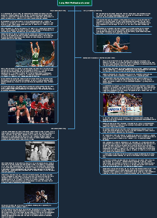 Larry Bird Professional career