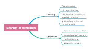 Diversity of metabolism