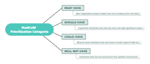 MoSCoW Prioritization Categorie