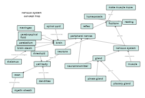 Nervous System Concept Map Template