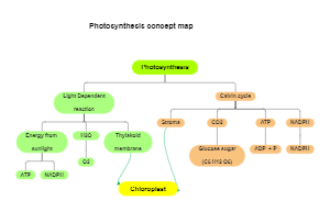 Photosynthesis