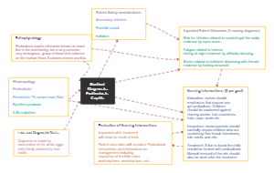 Nursing Concept Map Example