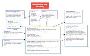 Nursing Concept Map