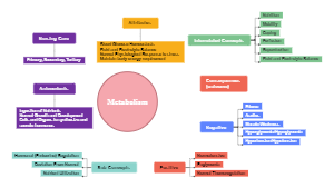 Metabolism Concept Map Example