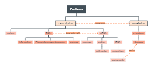 Protein Concept Map Example