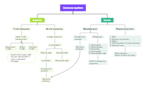 Immune System Concept Map Example