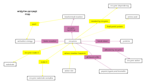 enzyme concept map