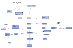 Digestive System Concept Map