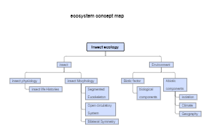 ecosystem concept map example 1