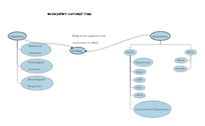 Ecosystem Concept Map Example